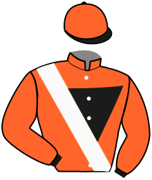 casaque portée par Trolley De Prevaux G. jockey du cheval de course LADY WANDA, information pmu ZETURF