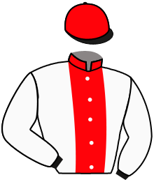 casaque portée par Mouesan H. jockey du cheval de course TEMIRI, information pmu ZETURF