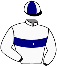 casaque portée par Veron F. jockey du cheval de course LAST VIKING, information pmu ZETURF
