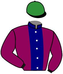 casaque portée par Forest M. jockey du cheval de course HALDENIRI, information pmu ZETURF