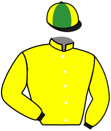 casaque portée par Gutierrez Val A. jockey du cheval de course EDELWEIS DU CARNOT, information pmu ZETURF