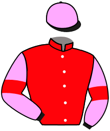 casaque portée par Rodriguez Dav. jockey du cheval de course L'ODYSSEE, information pmu ZETURF