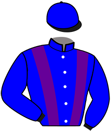 casaque portée par Abrivard M. jockey du cheval de course IVANA DES RACQUES, information pmu ZETURF