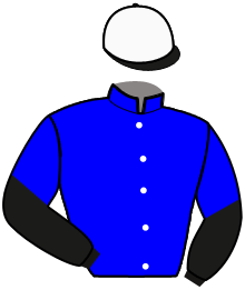 casaque portée par Bondo H. E. jockey du cheval de course DERBY KRONOS, information pmu ZETURF