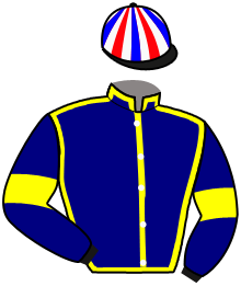 casaque portée par Abrivard M. jockey du cheval de course VALLATONIAN, information pmu ZETURF