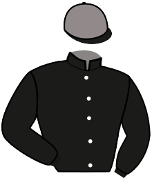 casaque portée par Ploquin Pau. Ph. jockey du cheval de course FARGO WISE AS, information pmu ZETURF