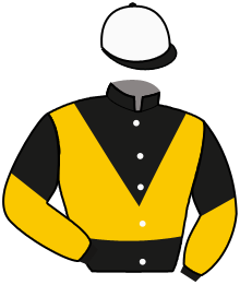 casaque portée par Abrivard M. jockey du cheval de course ELAND, information pmu ZETURF