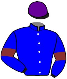 casaque portée par Poulain Mme Aga. jockey du cheval de course HATE YOU BEYLEV, information pmu ZETURF