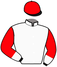 casaque portée par Bonne D. jockey du cheval de course FAIR LADY GAR, information pmu ZETURF