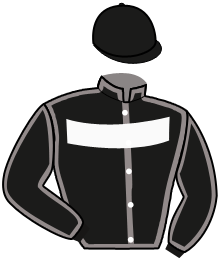 casaque portée par Mottier M. jockey du cheval de course GOOGOO CASINO, information pmu ZETURF