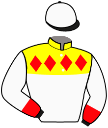 casaque portée par Ploquin Pau. Ph. jockey du cheval de course NGANNOU, information pmu ZETURF