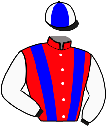 casaque portée par Nivard F. jockey du cheval de course FUTURO D'AMORE, information pmu ZETURF