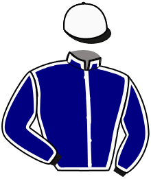 casaque portée par Delacour P. A. jockey du cheval de course HOPE YOU CAN, information pmu ZETURF casaque portée par Delacour P. A. jockey du cheval de course HOPE YOU CAN, information pmu ZETURF