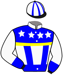 casaque portée par Van Rijn Jaa. jockey du cheval de course HERO D'HERTALS, information pmu ZETURF casaque portée par Van Rijn Jaa. jockey du cheval de course HERO D'HERTALS, information pmu ZETURF