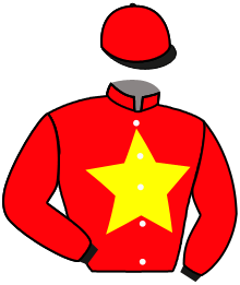 casaque portée par Velon Mlle M. jockey du cheval de course LOUIS DEUX, information pmu ZETURF