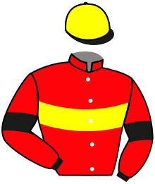 casaque portée par Lefranc T. jockey du cheval de course BAR TENDER, information pmu ZETURF