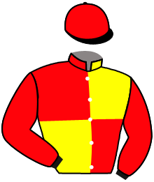 casaque portée par Journiac Tho. jockey du cheval de course ICEBERG DU LARGE, information pmu ZETURF