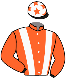 casaque portée par Re G. jockey du cheval de course SAFILLE DE HOUELLE, information pmu ZETURF