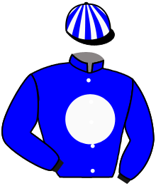 casaque portée par Salmon D. jockey du cheval de course GINAGOLD, information pmu ZETURF
