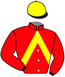 casaque portée par Chesne C. jockey du cheval de course HOBBY DE L'EVRE, information pmu ZETURF