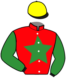 casaque portée par Raffin E. jockey du cheval de course MOONWALK D'HERIPRE, information pmu ZETURF casaque portée par Raffin E. jockey du cheval de course MOONWALK D'HERIPRE, information pmu ZETURF