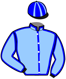 casaque portée par Saussaye V. jockey du cheval de course MOUFFY, information pmu ZETURF