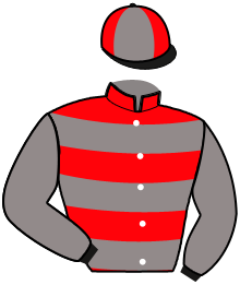 casaque portée par Barassin B. jockey du cheval de course EVAN PAULO, information pmu ZETURF