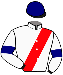 casaque portée par Bigeon Ch. J. jockey du cheval de course LEOLIO, information pmu ZETURF