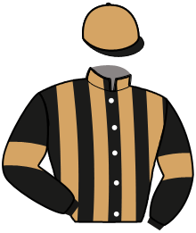 casaque portée par Ploquin Pau. Ph. jockey du cheval de course LALIK, information pmu ZETURF