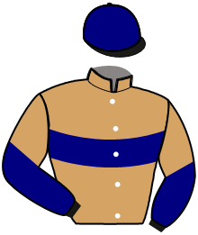 casaque portée par Raffin E. jockey du cheval de course LITCHI CASTELETS, information pmu ZETURF