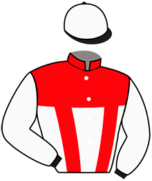 casaque portée par Rochard B. jockey du cheval de course L'AS DES AS, information pmu ZETURF