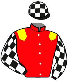 casaque portée par Chauve-laffay Ben. jockey du cheval de course MISS LIGNERIES, information pmu ZETURF