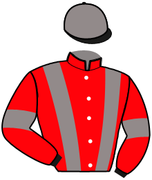 casaque portée par Lepennetier Q. jockey du cheval de course LOCMARIA JEWEL, information pmu ZETURF