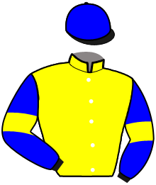 casaque portée par Sorais P. jockey du cheval de course LIBERTY DE FAEL, information pmu ZETURF