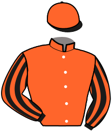 casaque portée par Blandin G. jockey du cheval de course MERVEILLE EN OUCHE, information pmu ZETURF