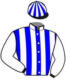 casaque portée par Sevestre R. jockey du cheval de course MISS PLEIN CHENE, information pmu ZETURF