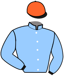 casaque portée par Legrain Mlle C. jockey du cheval de course KELLE BLEUE, information pmu ZETURF