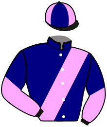 casaque portée par Enault N. jockey du cheval de course HAKA DU RIB, information pmu ZETURF