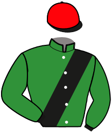 casaque portée par Jouault H. jockey du cheval de course HOLLYWOOD CHINE, information pmu ZETURF