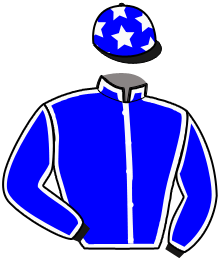 casaque portée par Quesnel P. jockey du cheval de course HEKI DU COURTILS, information pmu ZETURF