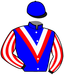 casaque portée par Cingland S. jockey du cheval de course RUGER, information pmu ZETURF