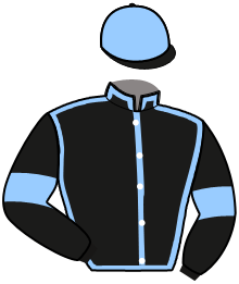 casaque portée par Broust F. jockey du cheval de course LASCO D'URZY, information pmu ZETURF