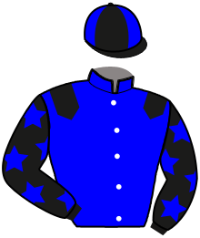 casaque portée par Callier P. jockey du cheval de course LEBEL DE KERYANN, information pmu ZETURF