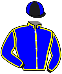 casaque portée par Lerenard A. jockey du cheval de course KLASSIC BEAUJOLAIS, information pmu ZETURF