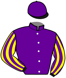 casaque portée par Daougabel Q. jockey du cheval de course KING FORCE, information pmu ZETURF