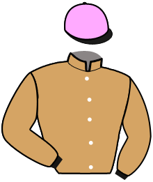 casaque portée par Thomas B. jockey du cheval de course JESSIE DU HAUTVENT, information pmu ZETURF