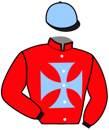 casaque portée par Nivard F. jockey du cheval de course LILOU, information pmu ZETURF