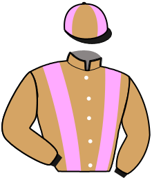 casaque portée par Ploquin Pau. Ph. jockey du cheval de course L'AMIRAL DE CHANGE, information pmu ZETURF