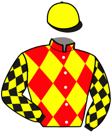 casaque portée par Raffin E. jockey du cheval de course L'AMI LUC, information pmu ZETURF