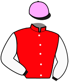casaque portée par Letouze Céd. jockey du cheval de course KERIDA BEST, information pmu ZETURF casaque portée par Letouze Céd. jockey du cheval de course KERIDA BEST, information pmu ZETURF
